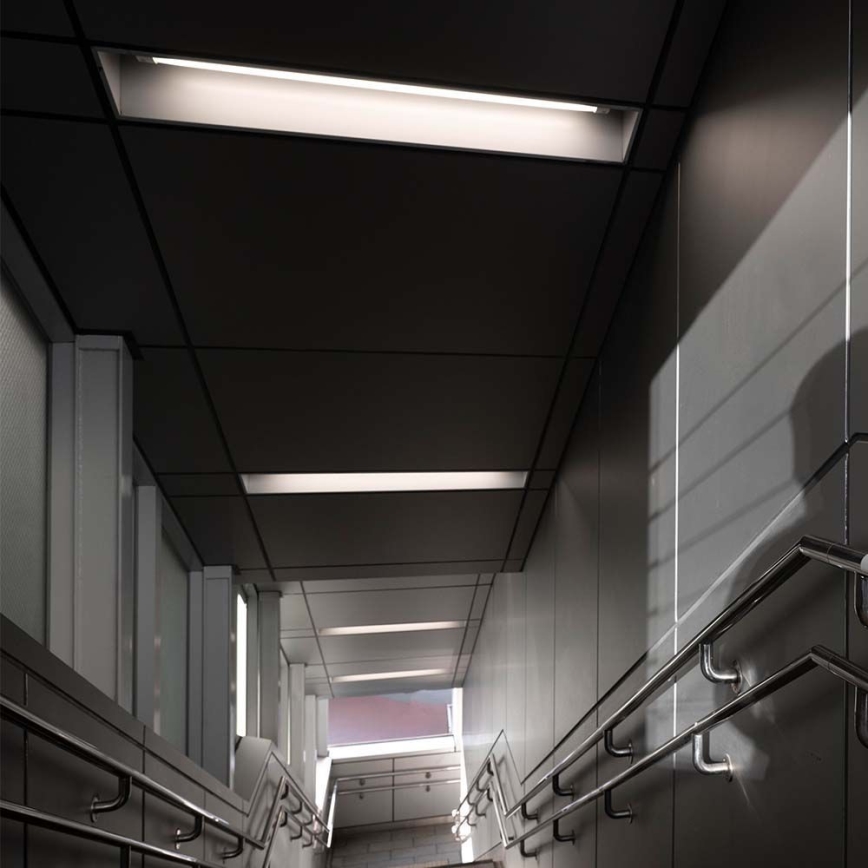 Tube fluorescent T5 G5/8W/230V 6500K 60 cm
