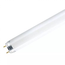 Tube fluorescent T8 G13/18W/230V 6500K 60 cm
