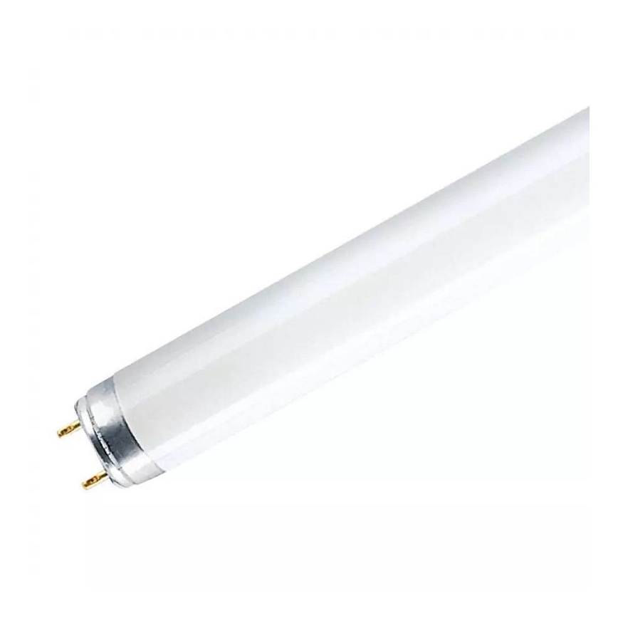 Tube Neon 70 Cm T8 18W Blanc