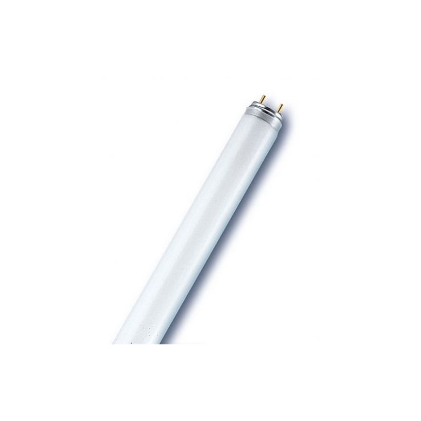 Tube fluorescent T8 G13/18W/230V 6500K 60 cm