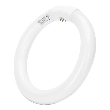 Tube fluorescent T9 G10Q/22W/230V 6500K - Aigostar
