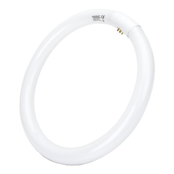 Tube fluorescent T9 G10q/32W/230V 6500K - Aigostar
