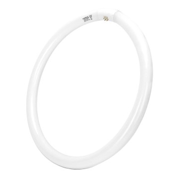 Tube fluorescent T9 G10q/40W/230V 6500K - Aigostar