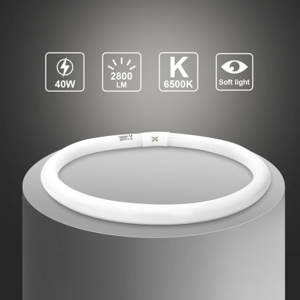 Tube fluorescent T9 G10q/40W/230V 6500K - Aigostar