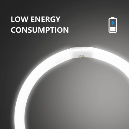 Tube fluorescent T9 G10q/40W/230V 6500K - Aigostar