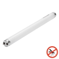 Tube fluorescent UV pour piège à insectes - culot G13, 10 W, 230 V, 34,5 cm - Brilagi