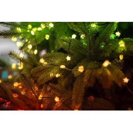 Twinkly - Guirlande LED RGB à intensité réglable CANDIES 100 LED 8 m USB Wi-Fi