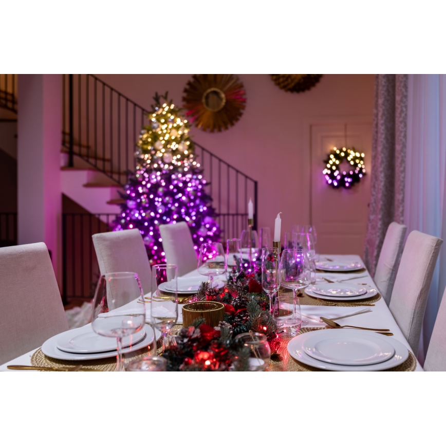 Twinkly TWS250SPP-TEU -Guirlande de noël LED RGBW extérieure STRINGS 250xLED 23,5m IP44 Wi-Fi
