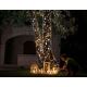 Twinkly - LED Dimbaar buitenshuis Kerst lichtsnoer STRINGS 400xLED 35,5m IP44 Wi-Fi