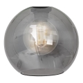 Universeel vervangingsglas SOFIA E27 Ø 20 cm, rookzwart