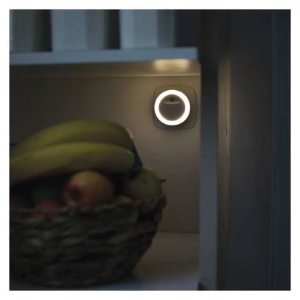 Veilleuse LED à capteur crépusculaire LED/0,3W/230V