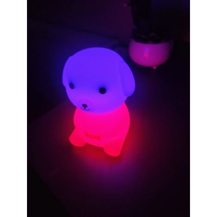 Veilleuse rechargeable pour enfants LED RGBW à intensité variable LED/2,5W/5V 3000K 1200 mAh motif chien