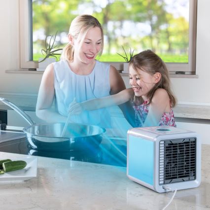 Ventilateur portable avec refroidissement