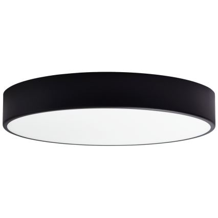 Verre de rechange pour plafonnier CLEO 50 cm verre