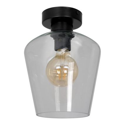 Verre de rechange universel SANTIAGO E27 d. 18 cm transparent