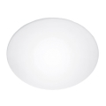 Vervangend glas voor plafondlamp Steinel 738013 E27