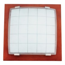 Wand- plafondlamp GEOMETRICA 1xE27/60W/230V rubberen boom 30x30 cm