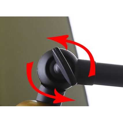 Wandlamp FUNDO 1xE27/40W/230V zwart/goud
