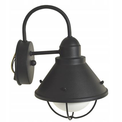 Wandlamp voor buiten LAVINA 1xE27/60W/230V IP44 zwart