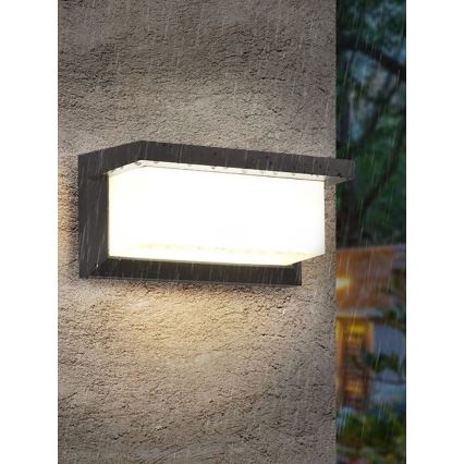 Wandlamp voor buiten NEELY 1xE27/60W/230V IP54 antraciet