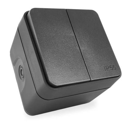 Wandschakelaar 2-knops wisselschakelaar nr. 6+6 IP55 antraciet