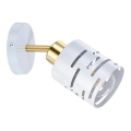 Wandspot ELEN 1xE27/35W/230V wit/goud