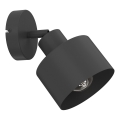 Wandspot PARKLA 1xE27/15W/230V zwart