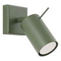 Wandspot RING 1xGU10/10W/230V groen