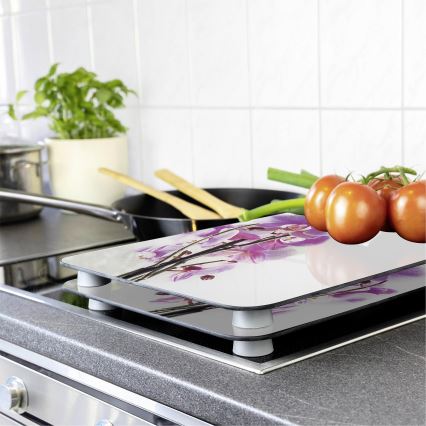 WENKO 2521433500 -Couvercle pour plaque ABDECKPLATTE - FLEUR/PLANTE 30x52 cm multicolore