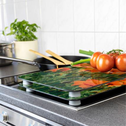 WENKO 2521434500-Afdekplaat BLOEM/PLANT 30x52 cm veelkleurig