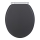 WENKO 25218100-WC abattant MORRA 35x42 cm anthracite/argenté