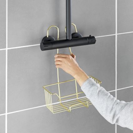 WENKO 25937100 - Douchekorf MILO 25x36 cm RVS/goud/transparant