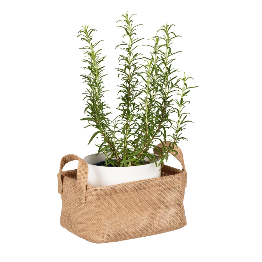 WENKO 64470100 - Mand JUNA 20x15 cm bruin