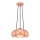 Westinghouse 6102040 - Hanglamp aan een koord CLUSTER 3xE27/60W/230V