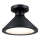Westinghouse 61238 - Plafondlamp voor buiten WALTER 1xE27/60W/230V IP44