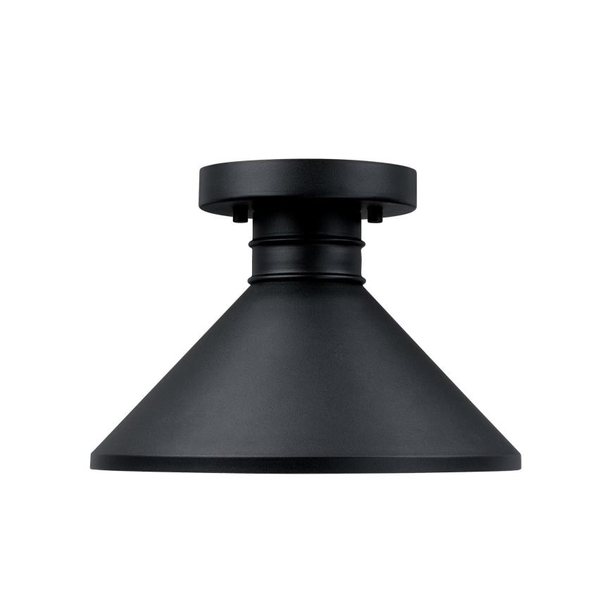 Westinghouse 61238 - Plafondlamp voor buiten WALTER 1xE27/60W/230V IP44