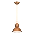 Westinghouse 6308440 - Hanglamp met stang BOSWELL 1xE27/60W/230V Ø 22 cm