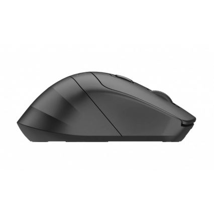 Winner Group - Souris sans fil SEA MOUSE 500 mAh noire