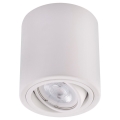 Witte LED Spotlamp TUBA 1x GU10 / 5W / 230V 4000K