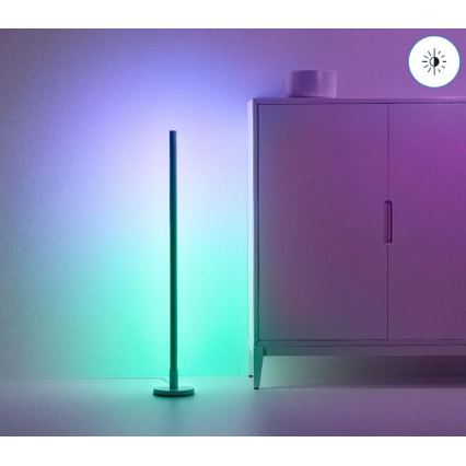 WiZ - Dimbare Staande LED RGBW Lamp POLE LED/13W/230V 2200-6500K Wi-Fi