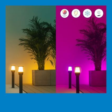 WiZ - LED RGBW dimbare buitenlamp ELPAS LED/4,8W/12/230V 2700-5000K IP65 Wi-Fi