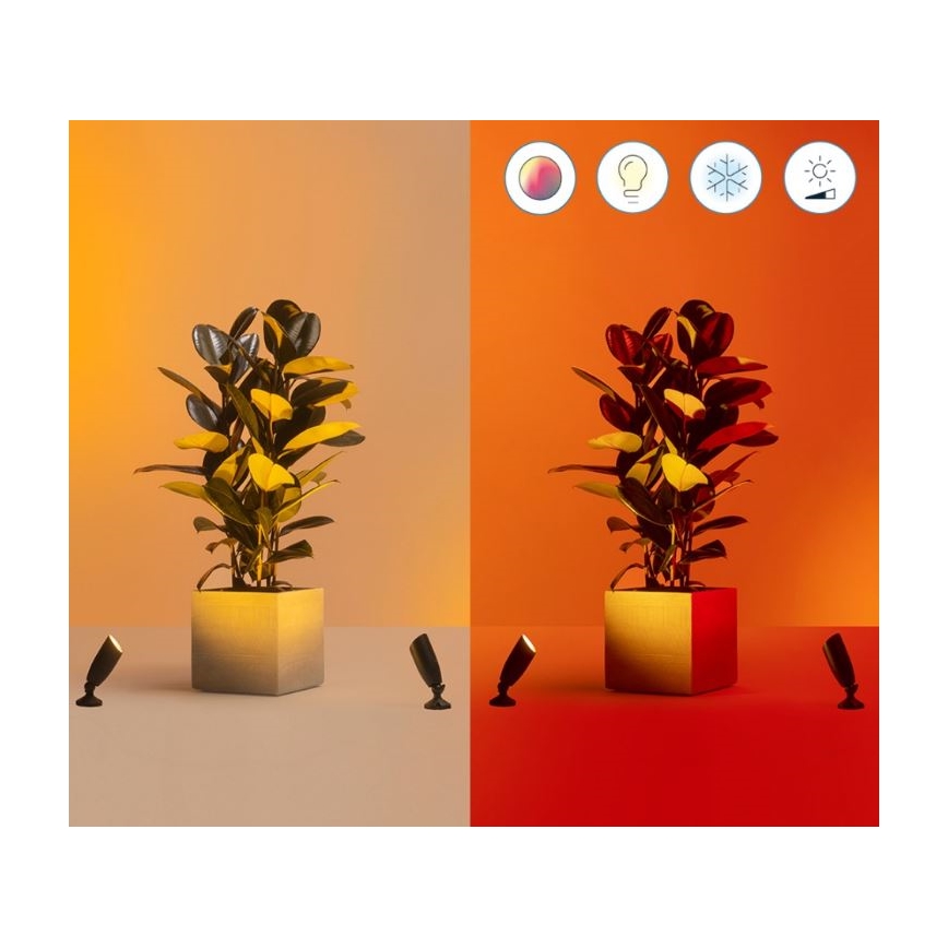 WiZ -SET 2x LED RGBW Dimbare buitenlamp SPOT LED/10W/230V 2700-5000K IP65 Wi-Fi