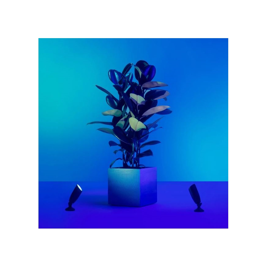 WiZ -SET 2x LED RGBW Dimbare buitenlamp SPOT LED/10W/230V 2700-5000K IP65 Wi-Fi