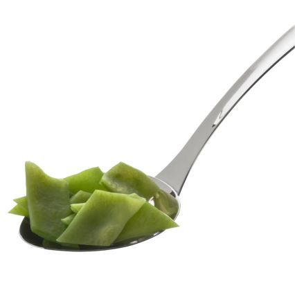 WMF - Serveerlepel PROFI PLUS van roestvrij staal