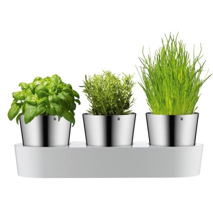 WMF - Zelfwater gevende kruidenpot 3 st GOURMET wit/roestvrij staal