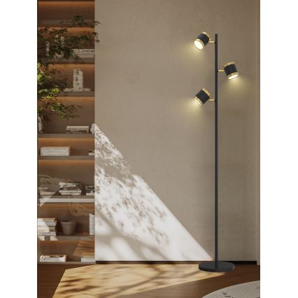 Wofi 3003-304S - Dimbare LED Staande lamp TOULOUSE LED/21W/230V zwart/goud