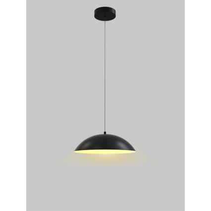 Wofi 6001-104 - Dimbare LED hanglamp aan een koord ROSCOFF LED/19W/230V zwart/goud