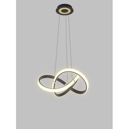 Wofi 6134-104 - Dimbare LED hanglamp aan een koord INDIGO LED/44W/230V zwart/goud