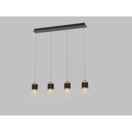 Wofi 7003-404 - Dimbare LED-hanglamp aan kabel TOULOUSE 4xLED/8,5W/230V zwart/goud
