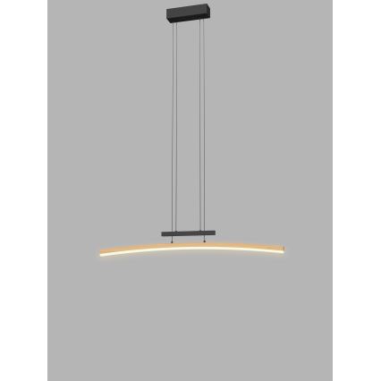 Wofi 7020-106 - Suspension filaire à intensité variable BOLOGNA LED/27W/230V